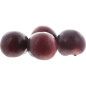 PRUNE NOIRE 5KG